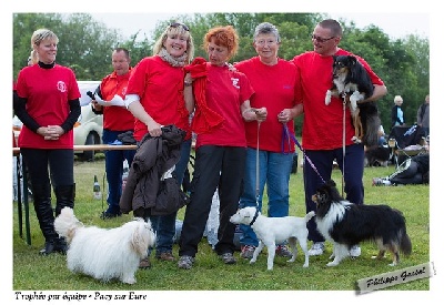 Trophée par Equipe 2012